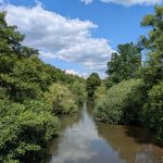 Zurück auf dem Jakobsweg – Lüneburg hat mich wieder!