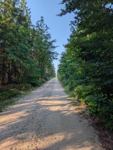 30 Kilometer, bewegende Momente und ein Sprung nach 50 Jahren – Die Via Scandinavica fordert alles