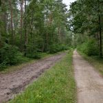 Vom Pferdeland in die Großstadt – ein Pilgertag zwischen Stille und Verkehrslärm