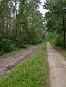 Vom Pferdeland in die Großstadt – ein Pilgertag zwischen Stille und Verkehrslärm