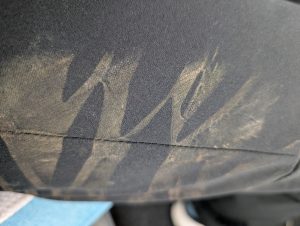 Der Baumstamm schlägt zurück – Pferdekuss, Hörschock und der Wanderbruder zieht die Reißleine!